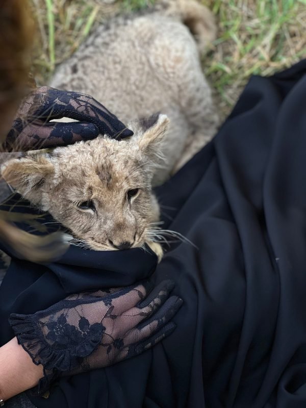 Bilkis Abaya - Image 6