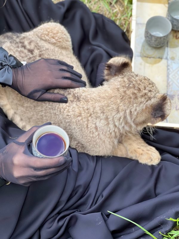 Sultana Gloves - Image 7