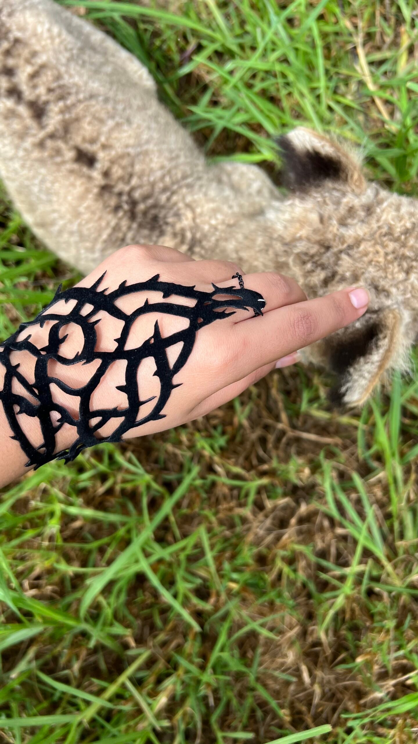 Shezadi Glove - Image 5