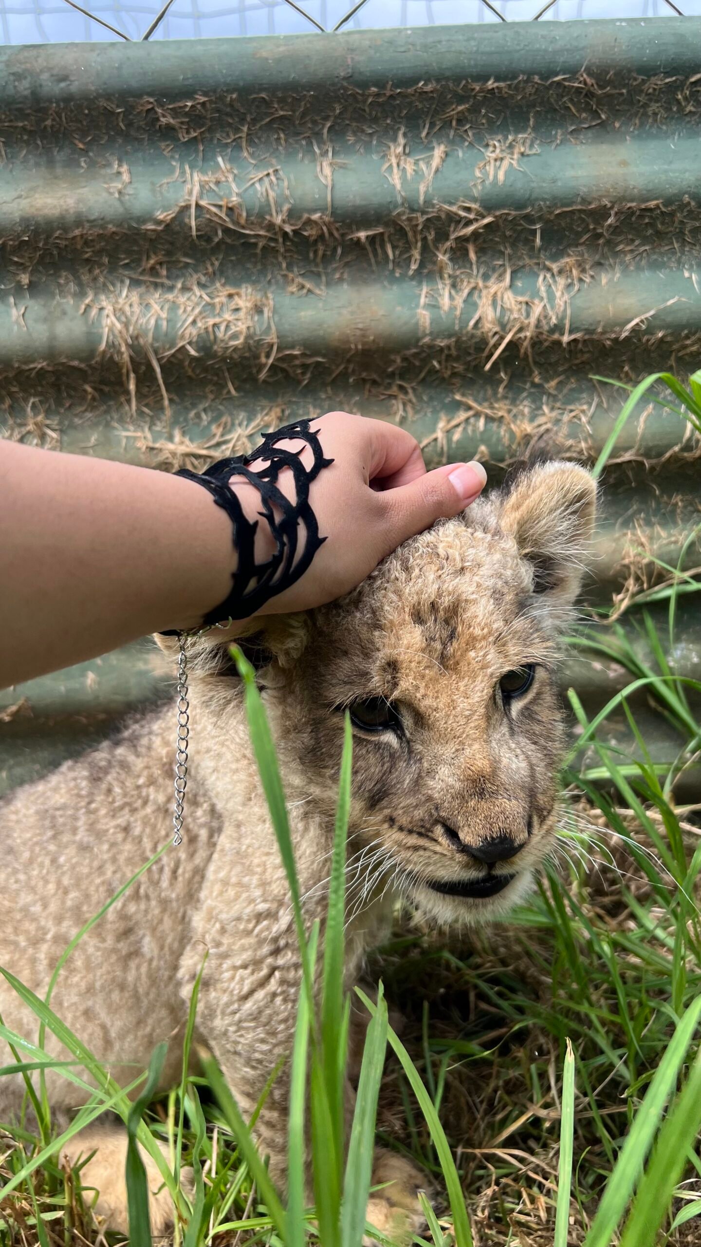 Shezadi Glove - Image 3